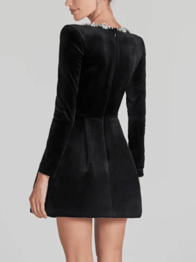 Aurelle Crystal Trim Mini Dress