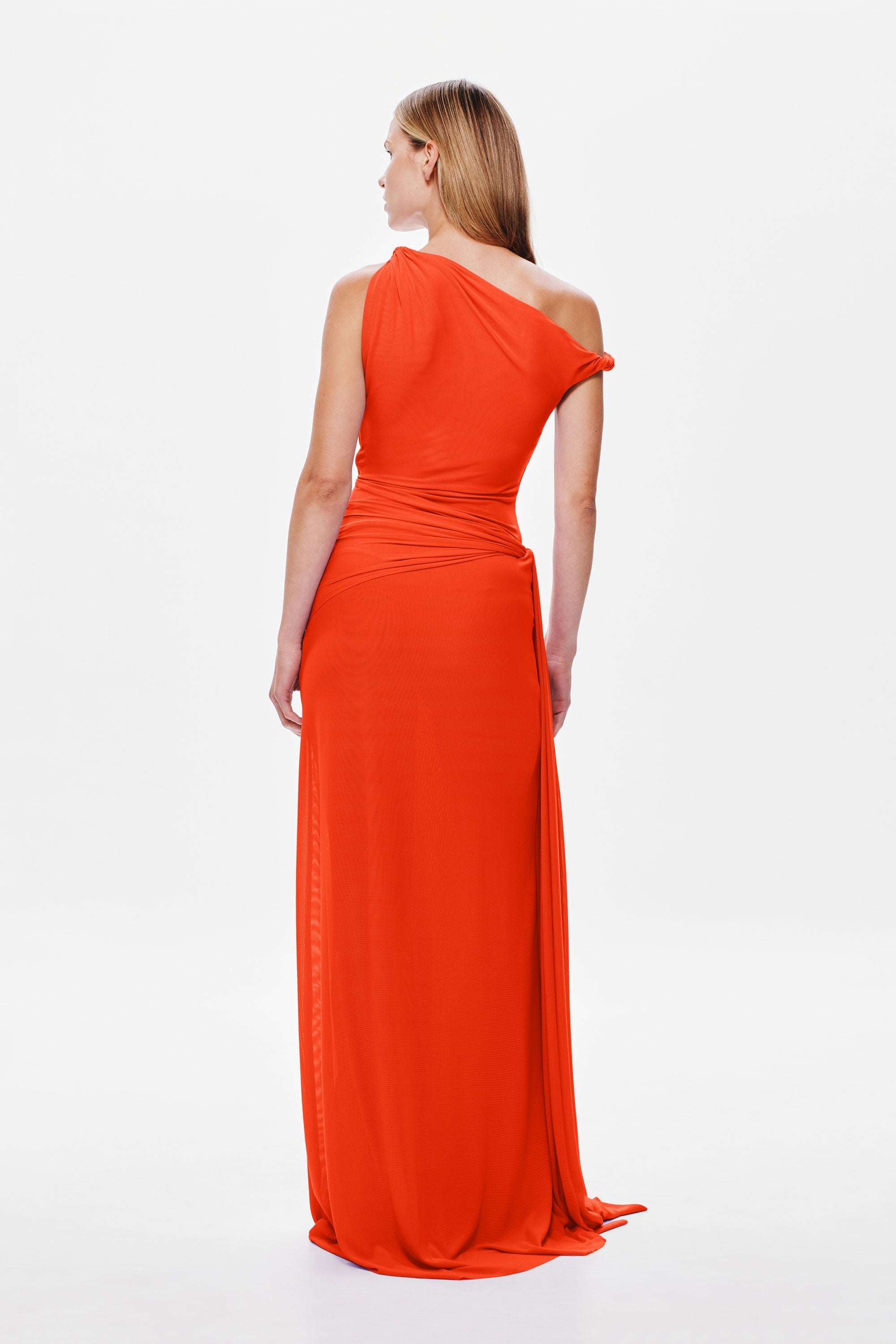 Nerina Mesh Maxi Dress